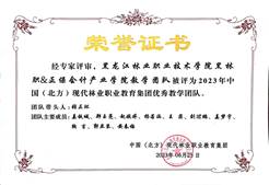 中国(北方)职教集团优秀团队
